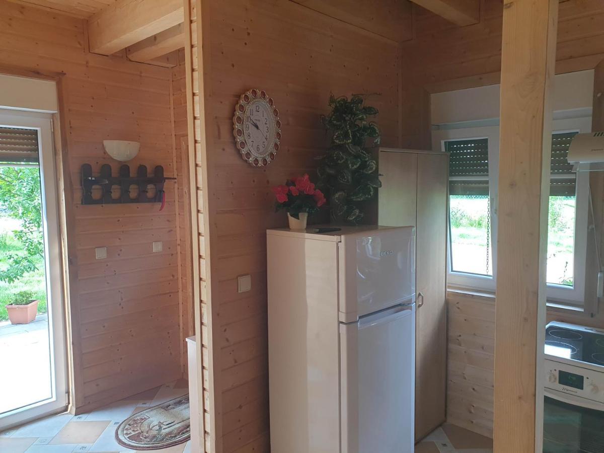 Sobieszow Apartament Basia Zielone Wzgorze -Willa Tosia エクステリア 写真